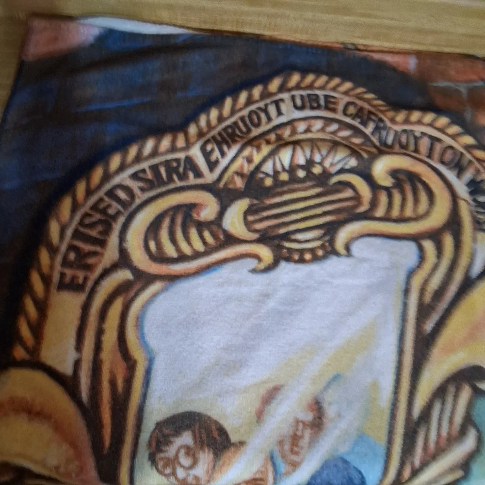 Harry Potter Mirror of Erised Vintage Towel Beach  Warner Brothers 2000
